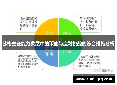 苏格兰在能力发展中的策略与应对挑战的综合措施分析